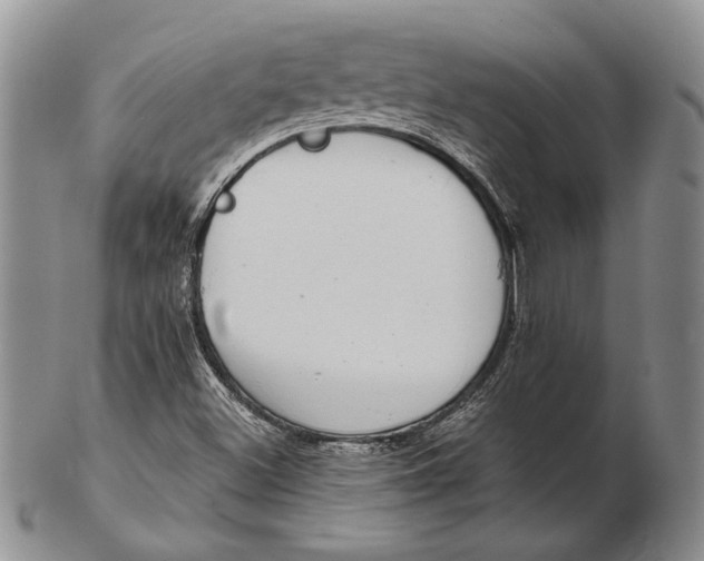 X0000102361500200808221704