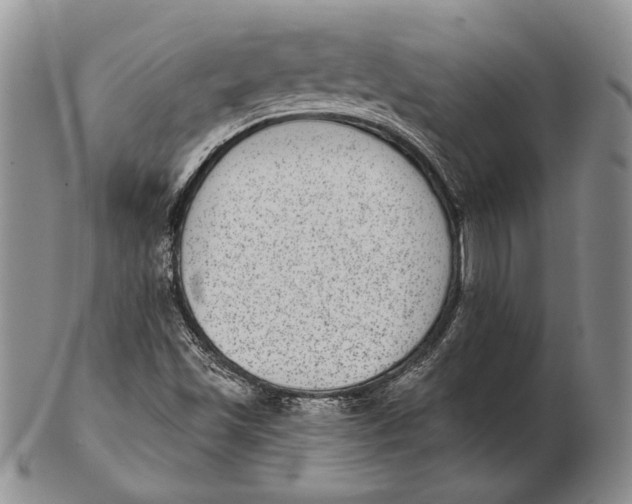 X0000102361501200808221704