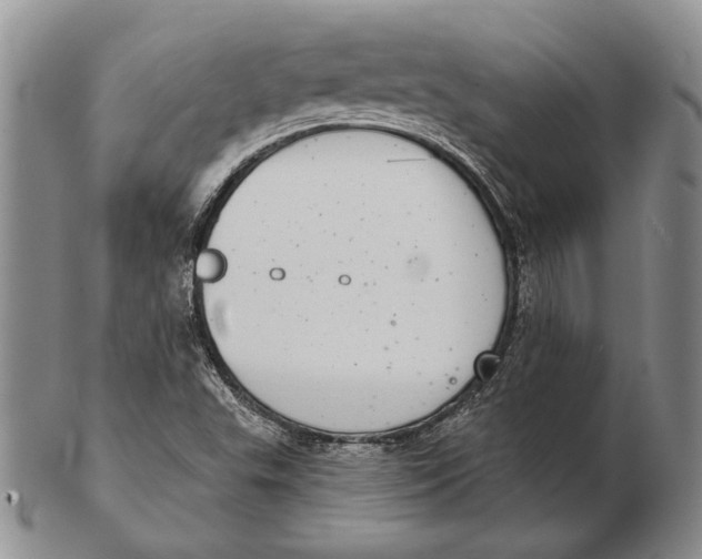 X0000102361503200808221704