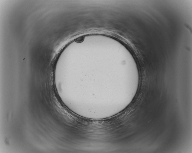 X0000102361504200808221704