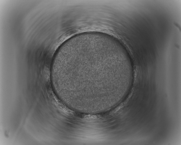 X0000102361505200808221704