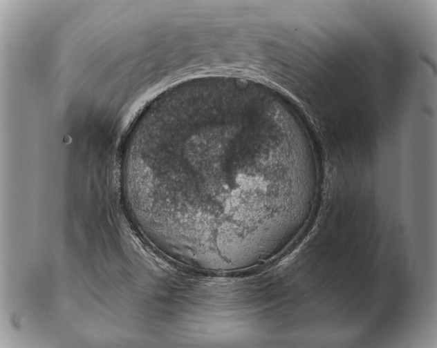 X0000102361506200808221704