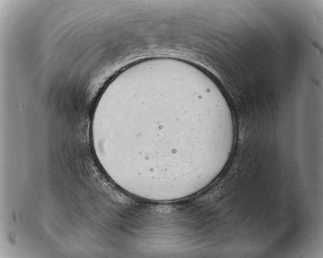 X0000102361507200808221704