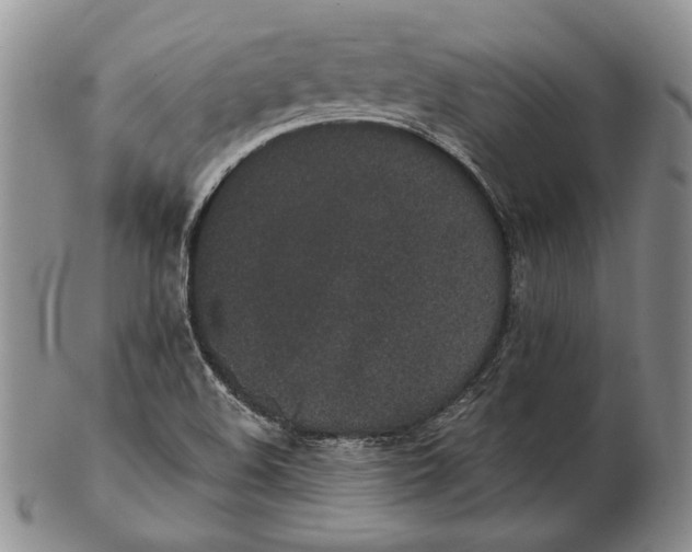 X0000102361508200808221704