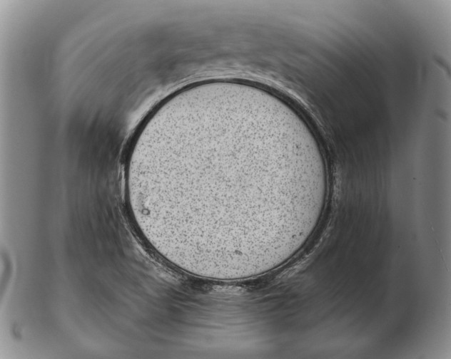 X0000102361509200808221704