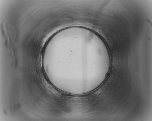 X0000102361510200808221704