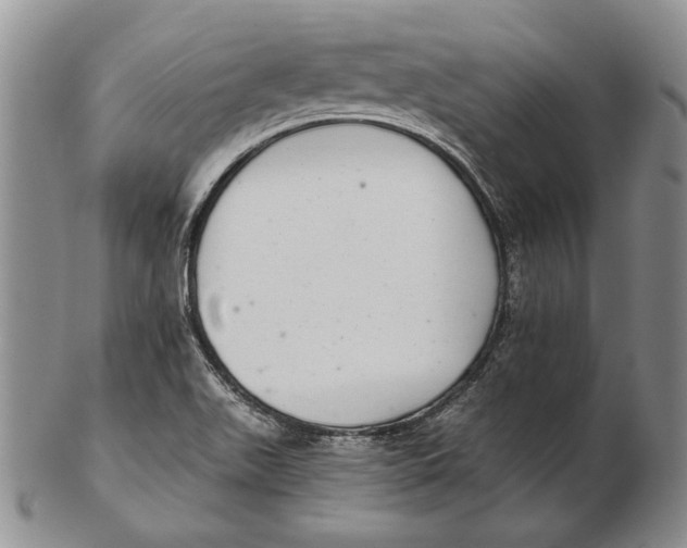 X0000102361511200808221704