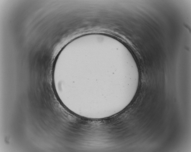 X0000102361512200808221704