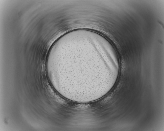 X0000102361513200808221704