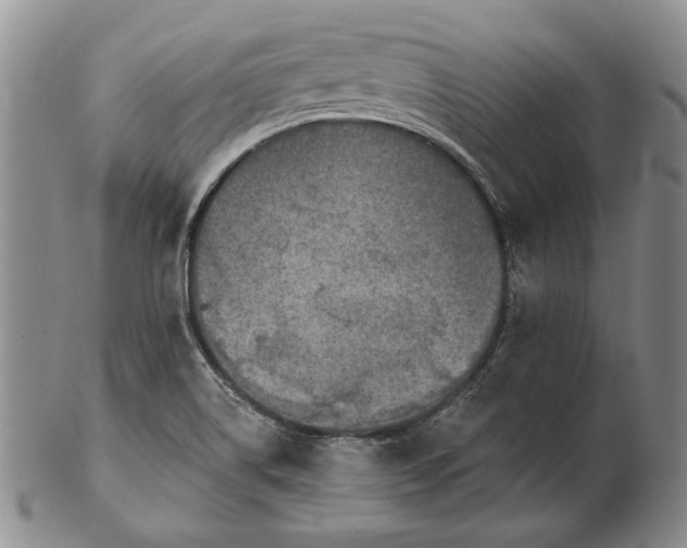 X0000102361514200808221704