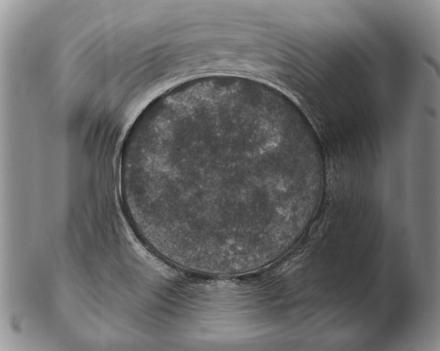 X0000102361515200808221704