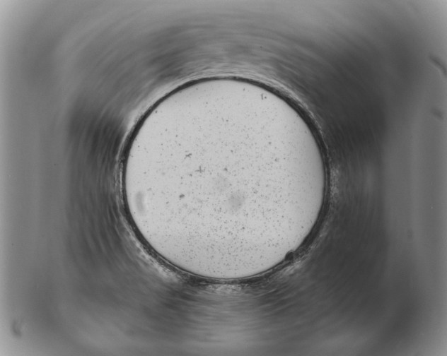 X0000102361517200808221704