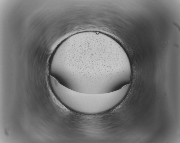 X0000102361518200808221704