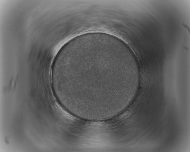 X0000102361519200808221704