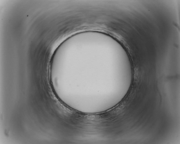 X0000102361520200808221704