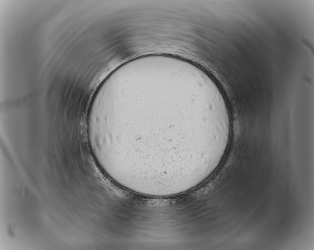 X0000102361521200808221704