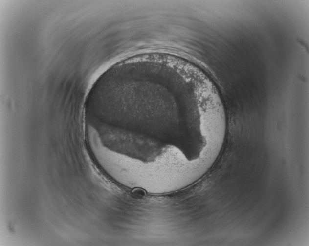 X0000102361522200808221704