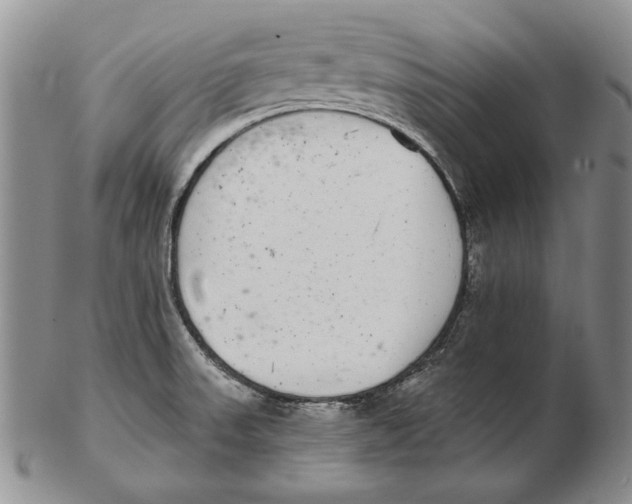 X0000102361523200808221704