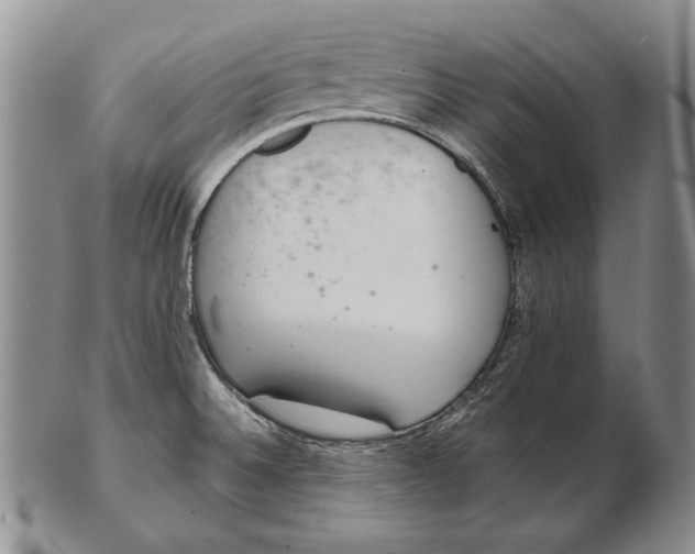 X0000102361524200808221704