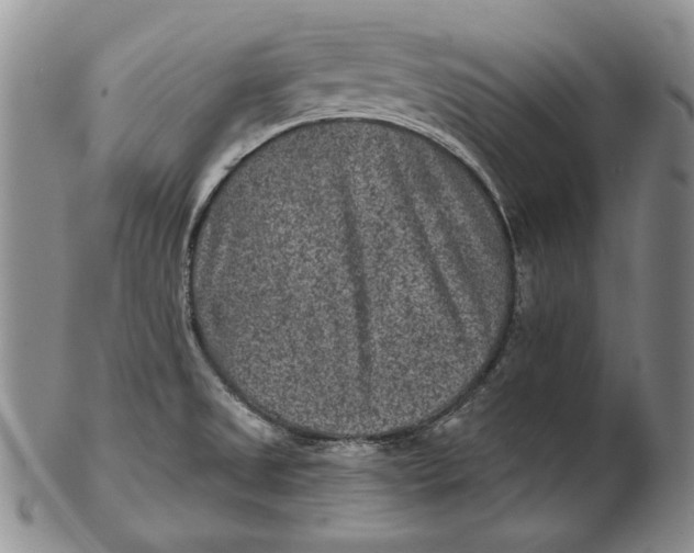 X0000102361525200808221704