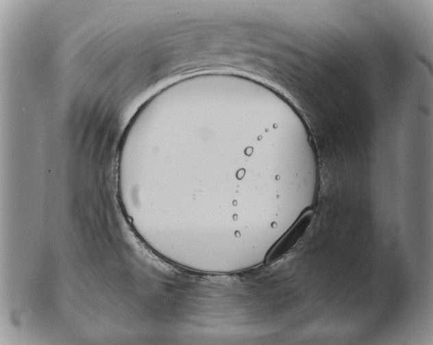 X0000102361526200808221704