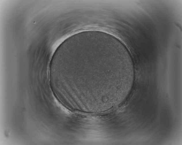 X0000102361527200808221704