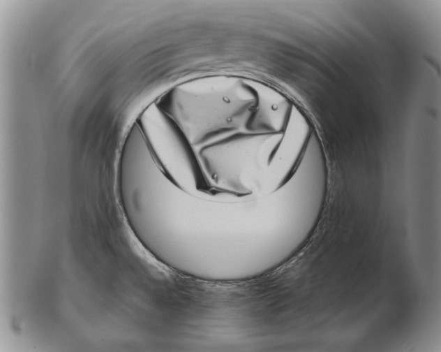 X0000102361528200808221704