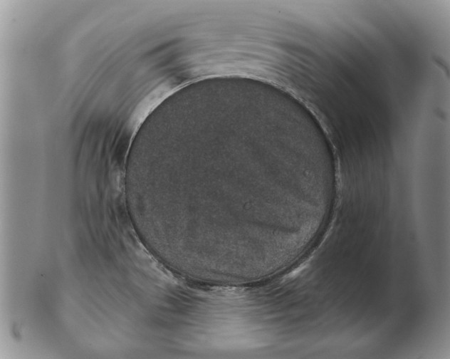 X0000102361529200808221704