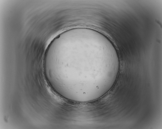 X0000102361530200808221704