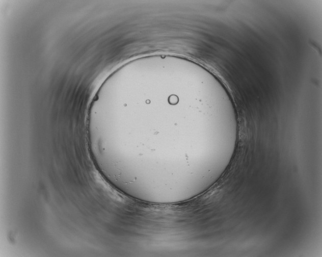 X0000102361532200808221705