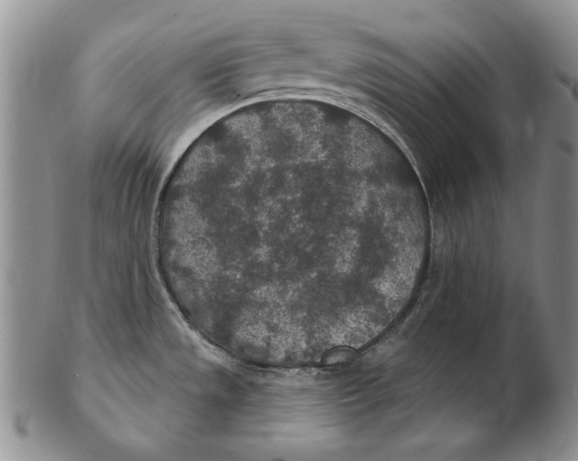 X0000102361533200808221705