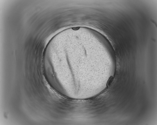 X0000102361534200808221705