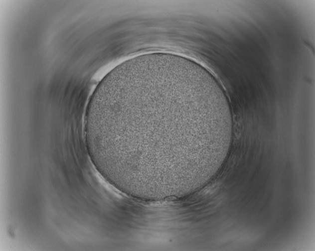 X0000102361535200808221705