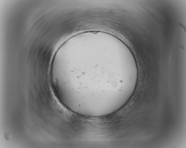 X0000102361536200808221705