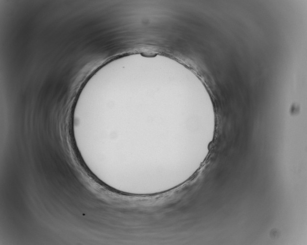 X0000102360001200808291236