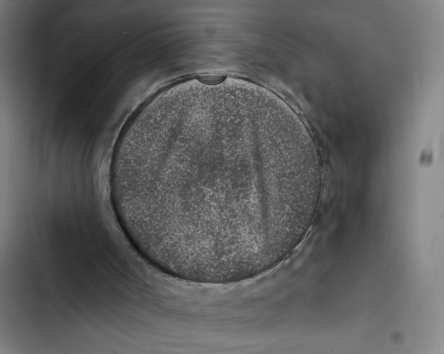 X0000102360002200808291236