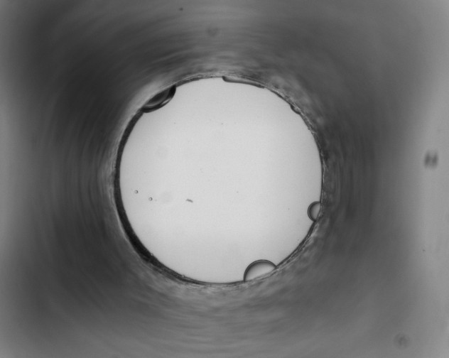 X0000102360003200808291236