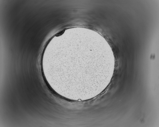 X0000102360004200808291236