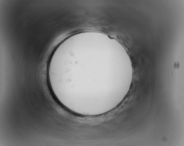 X0000102360005200808291236