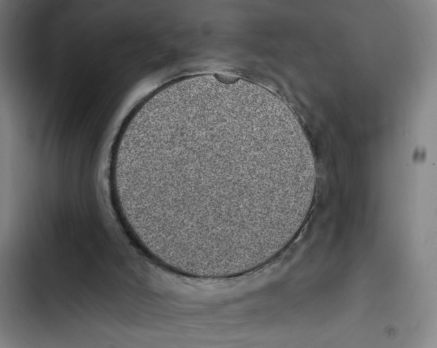 X0000102360006200808291236