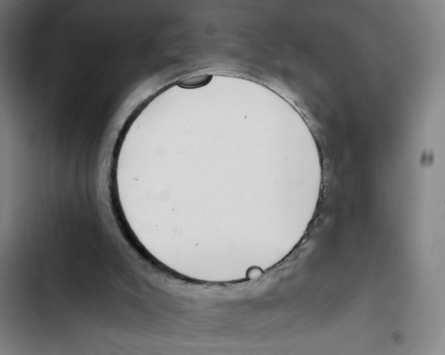 X0000102360007200808291236