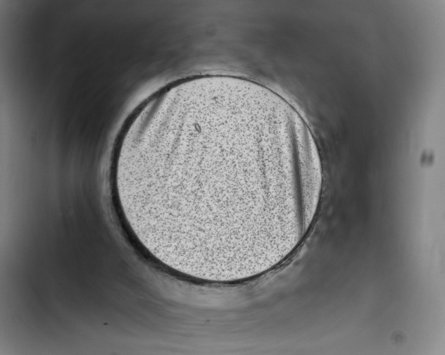 X0000102360008200808291236