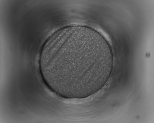 X0000102360009200808291236