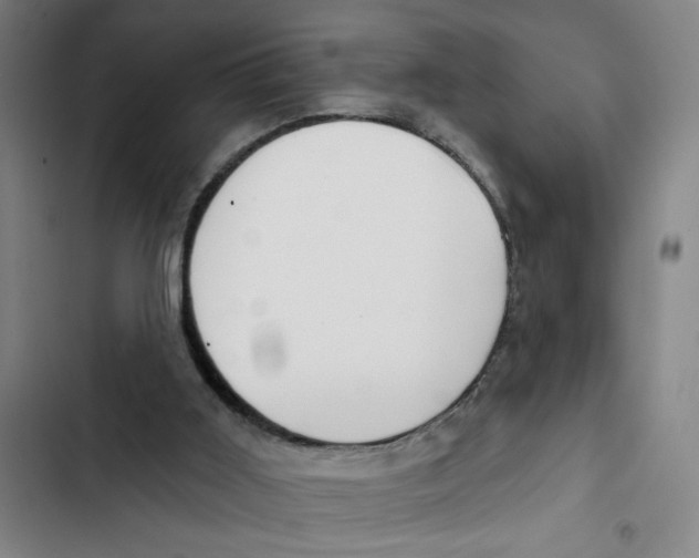 X0000102360011200808291236