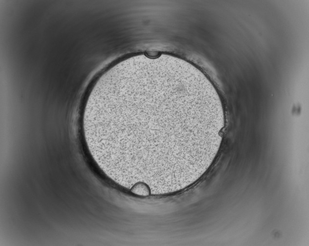 X0000102360012200808291236