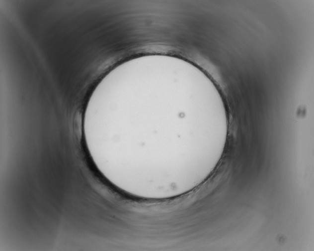 X0000102360013200808291236