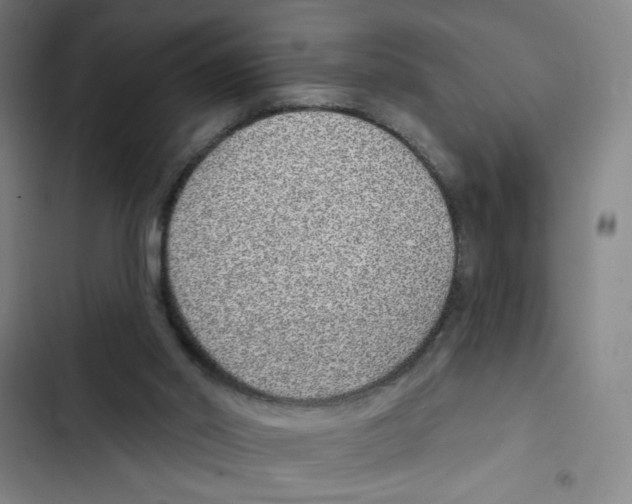 X0000102360014200808291236