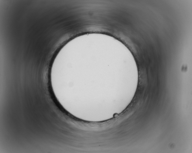 X0000102360015200808291236