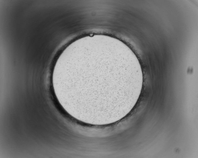 X0000102360016200808291236