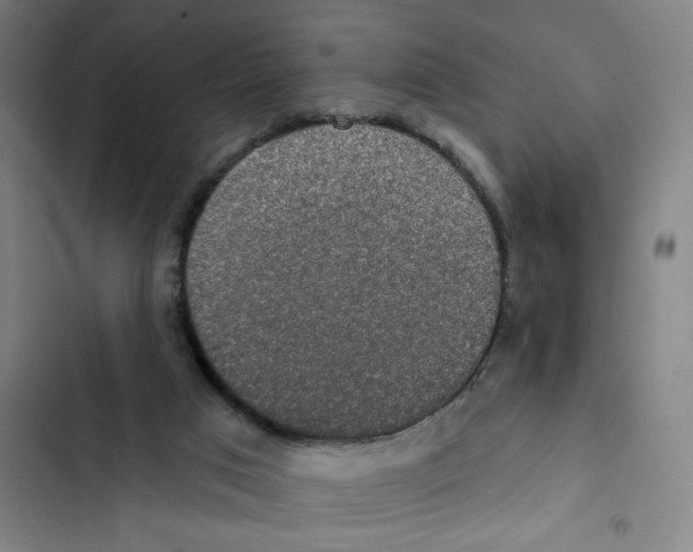 X0000102360017200808291236